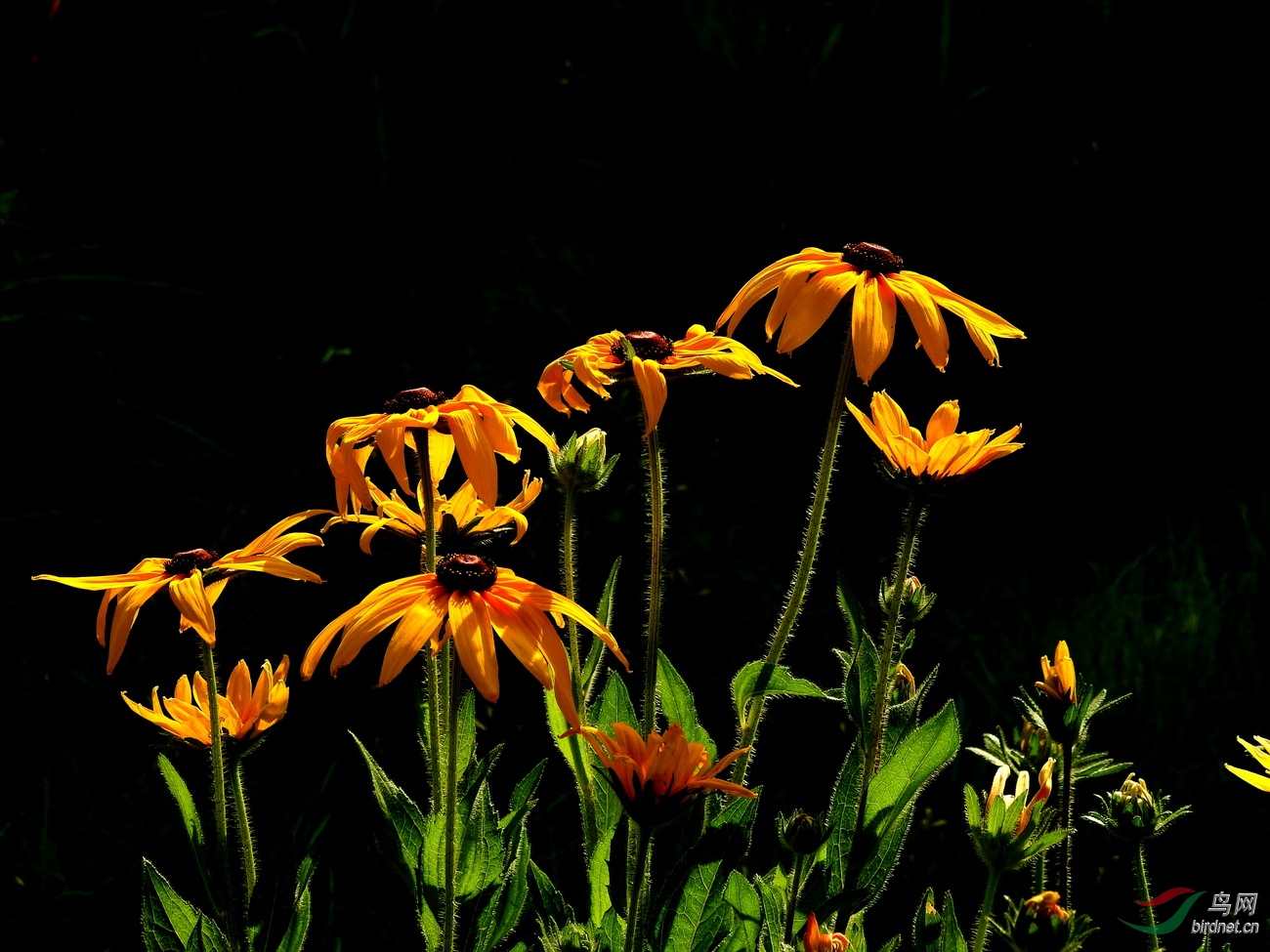 DSCN3785.JPG
