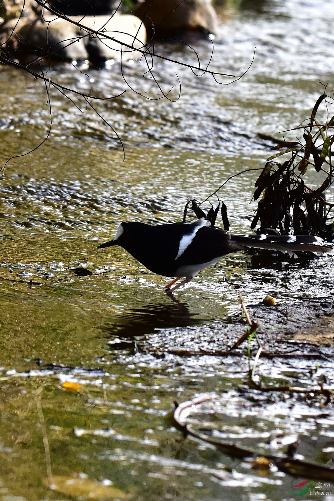 DSC_0139.JPG