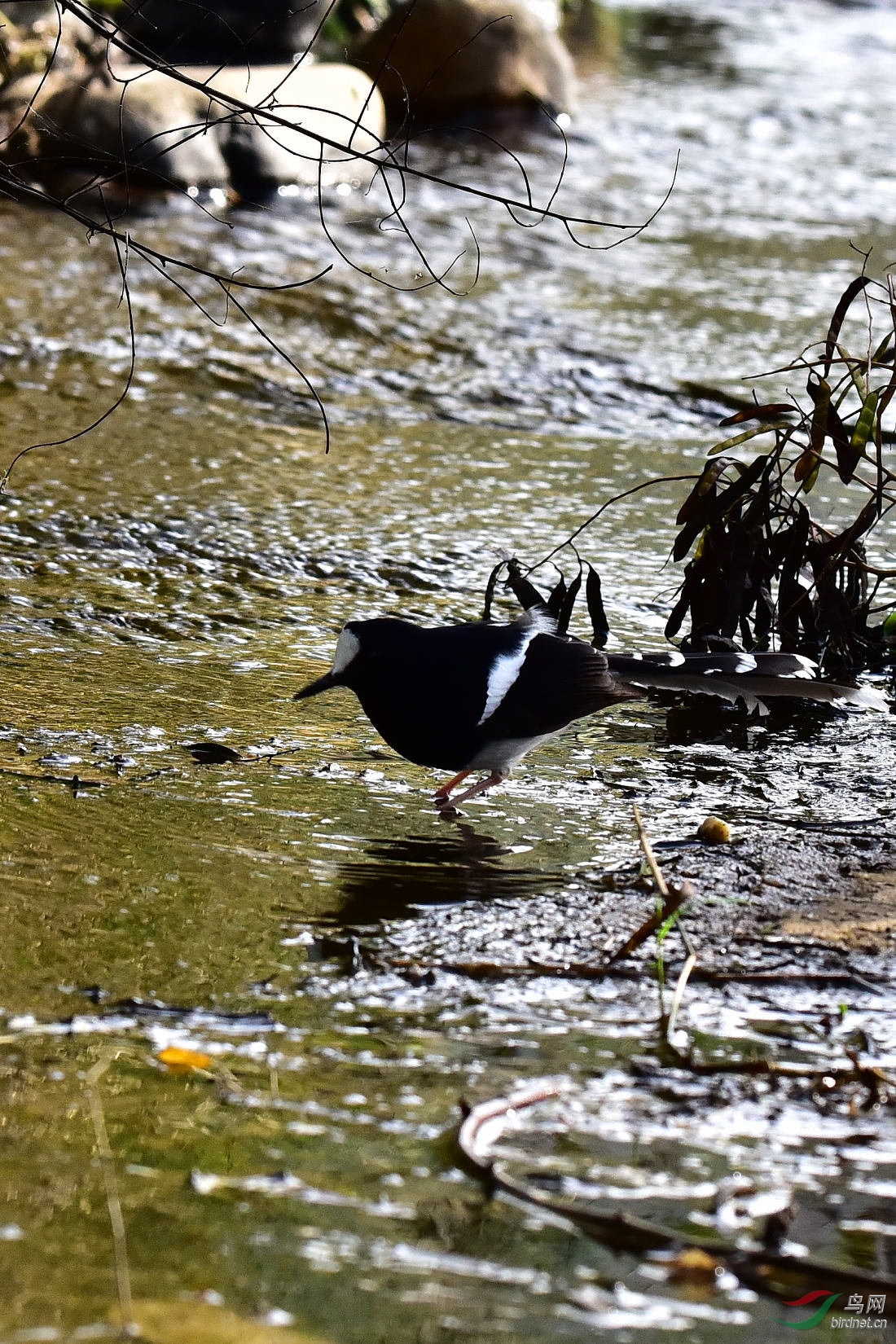 DSC_0140.JPG