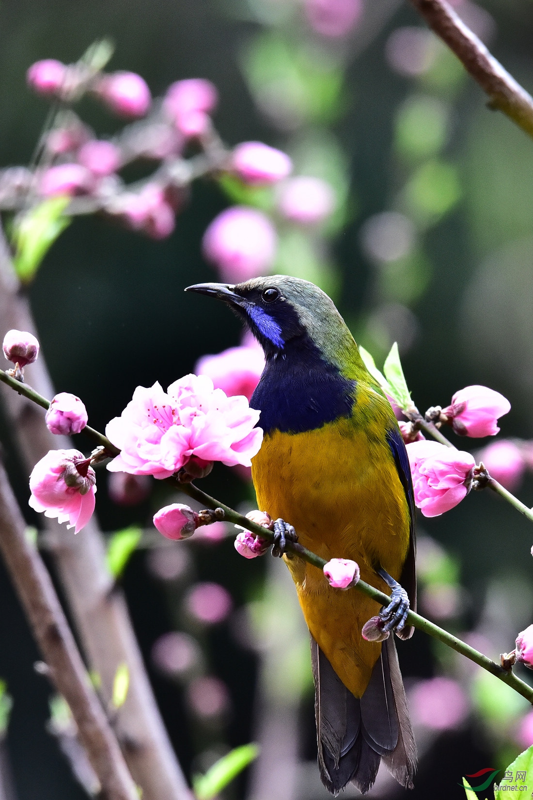 DSC_1521.JPG