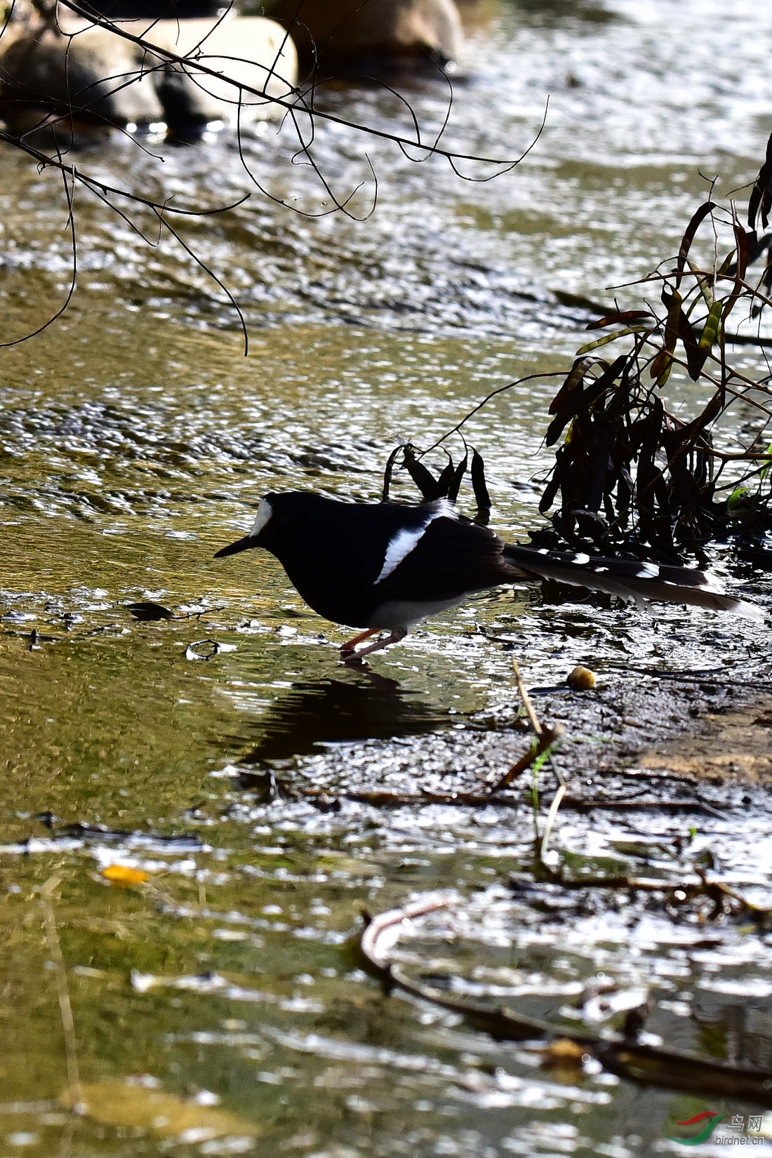 DSC_0143.JPG