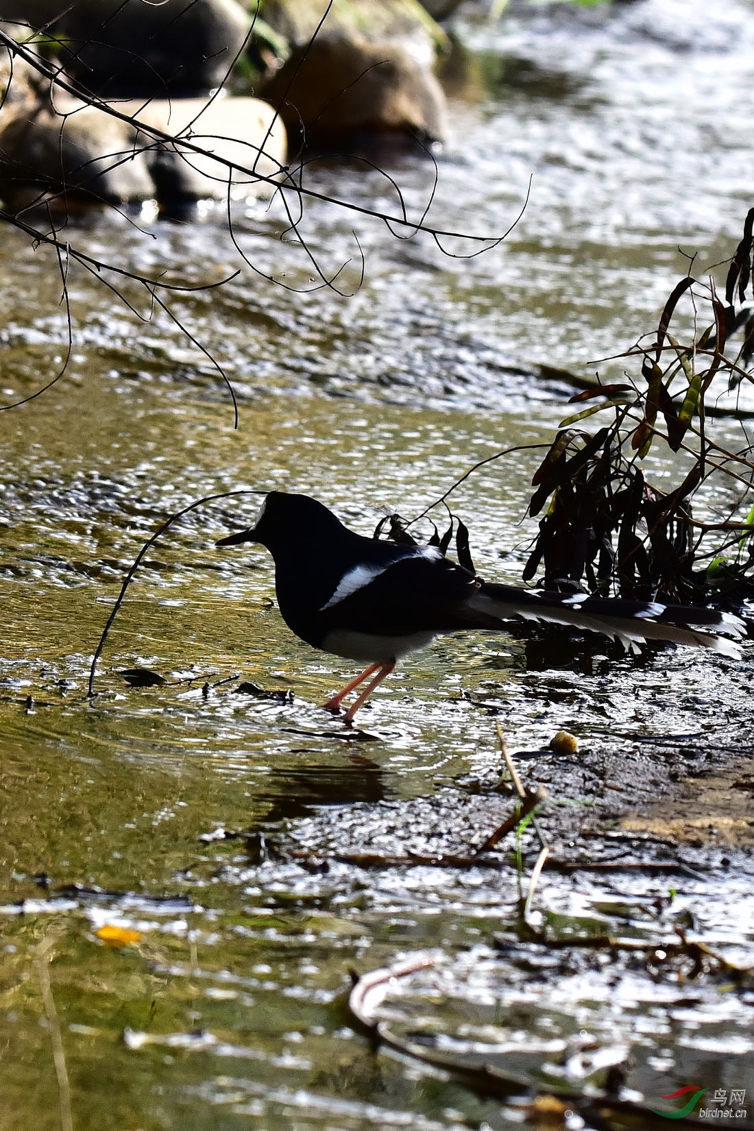 DSC_0144.JPG