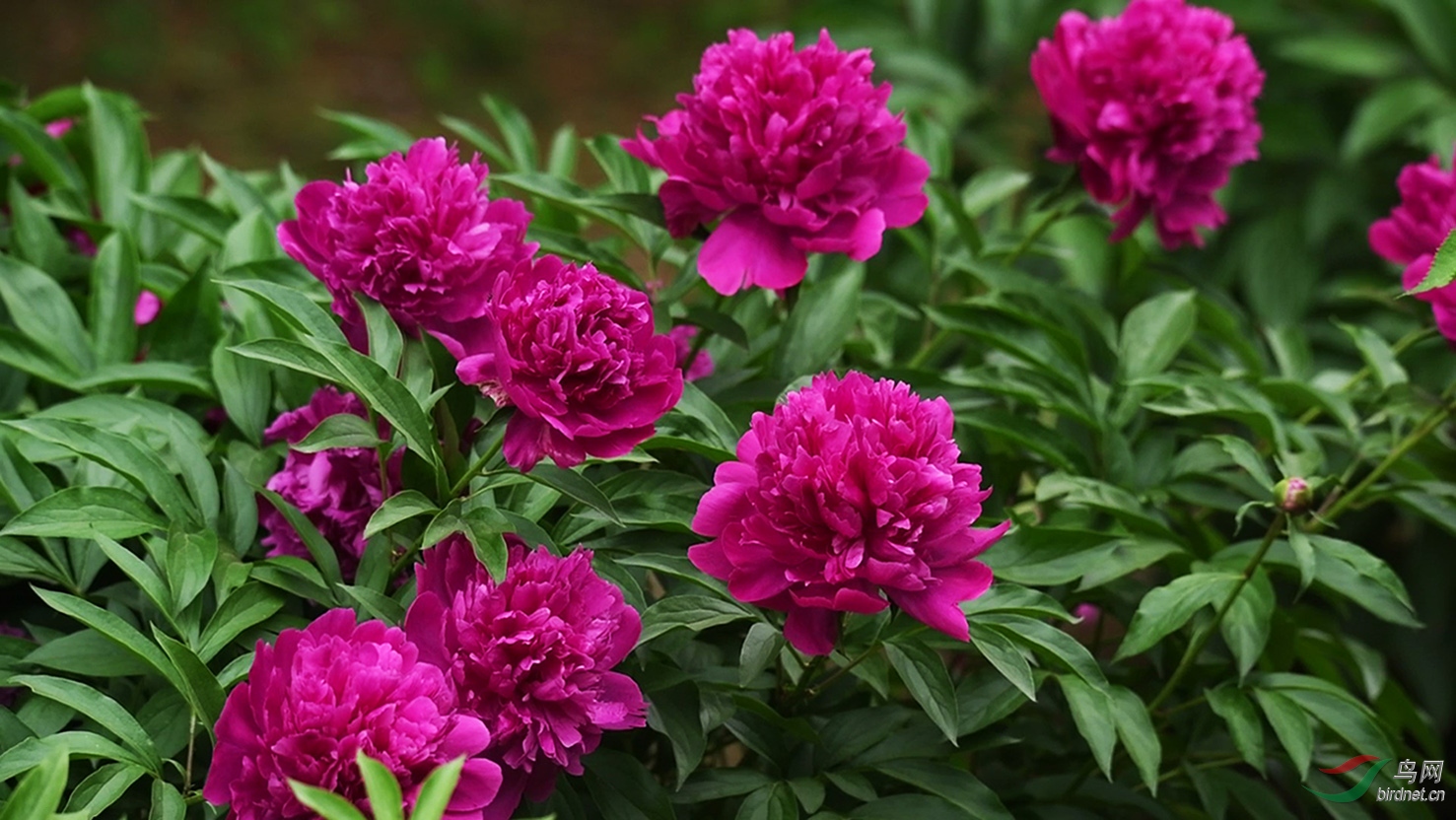 DSC_9685 00_00_03-00_00_10_Moment-1-2.jpg