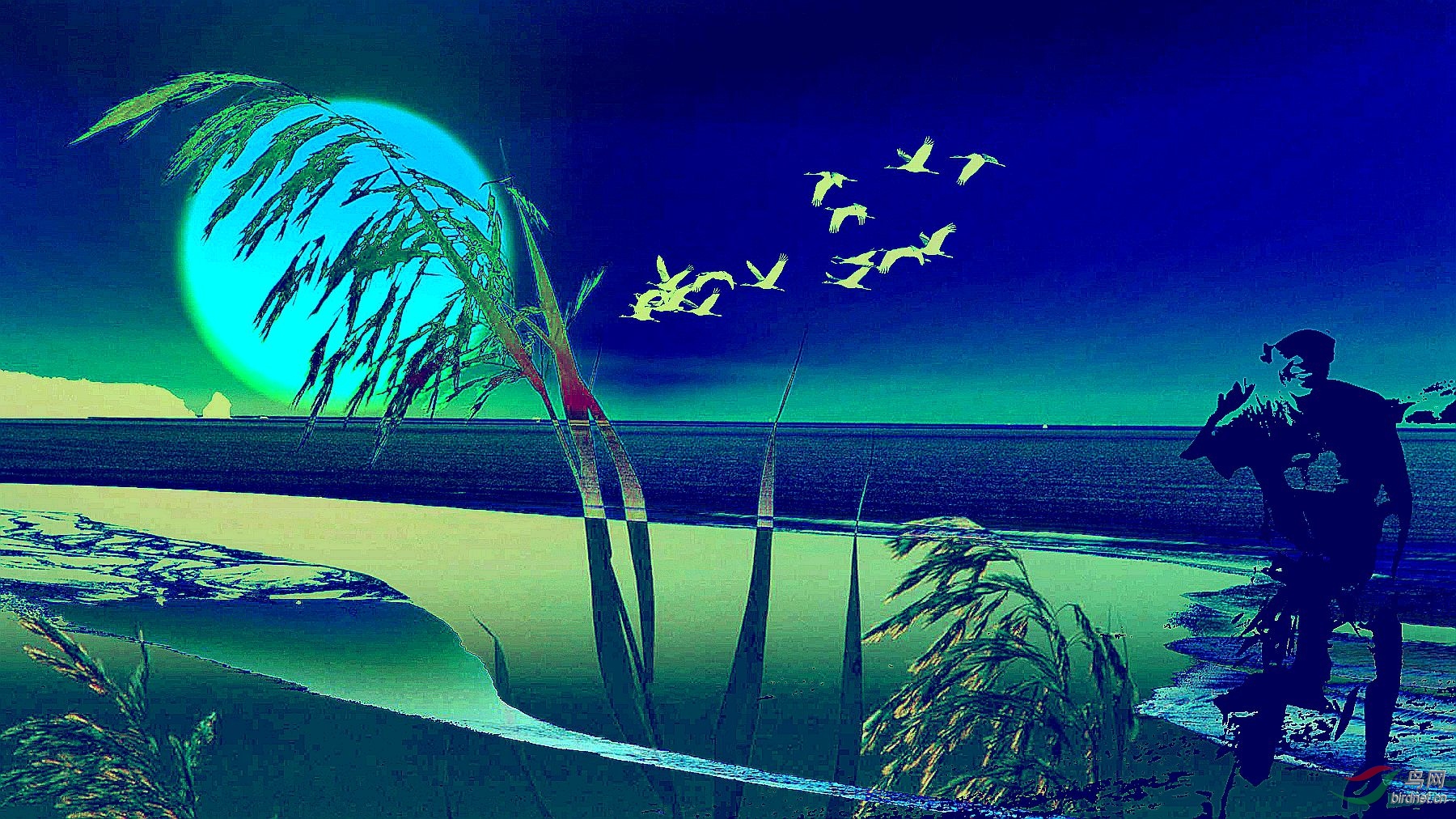 LYK_8543_���� ���� 4.jpg