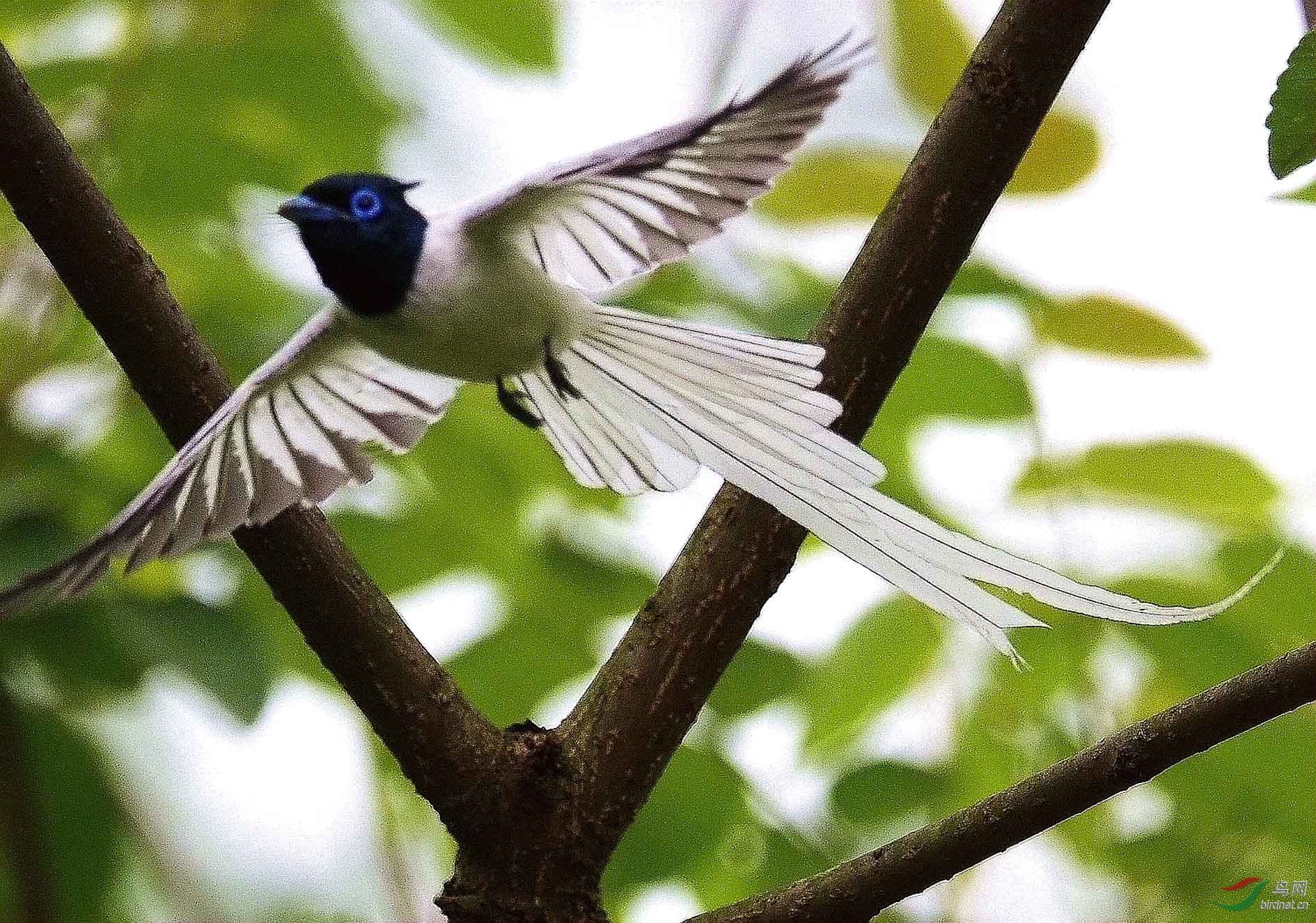 DSC_1524.JPG