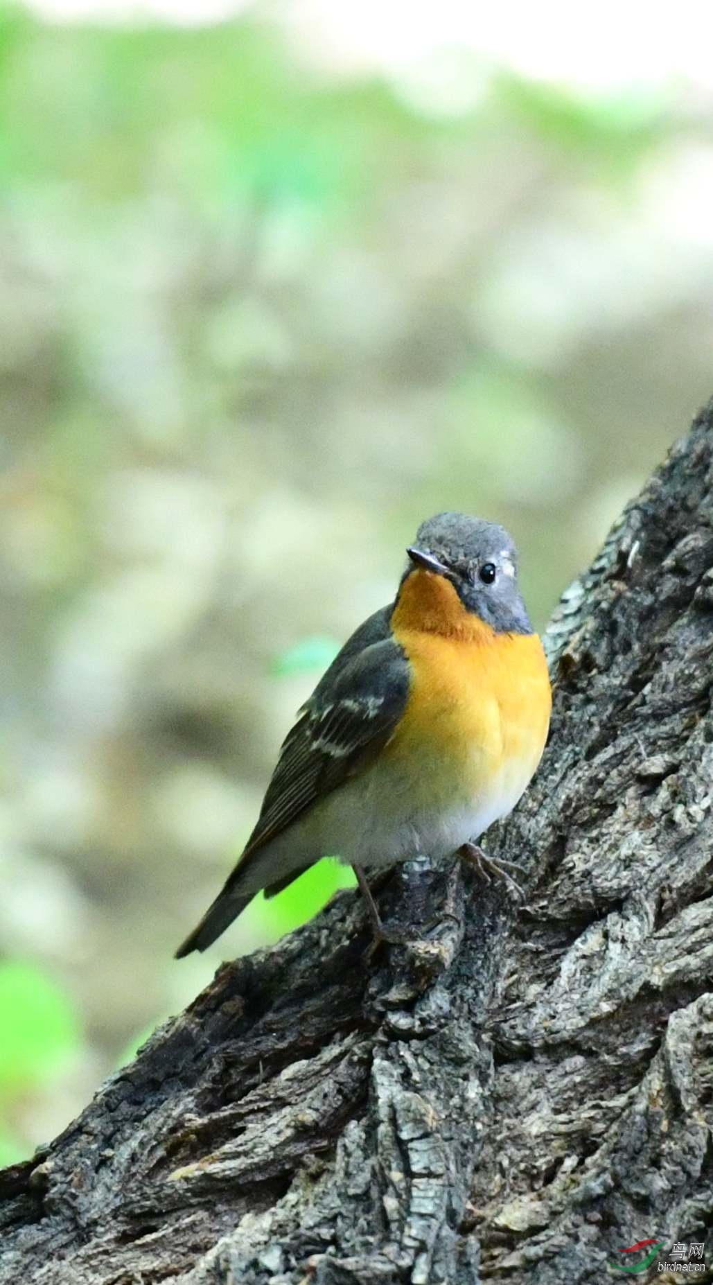 DSC_5137_����.jpg