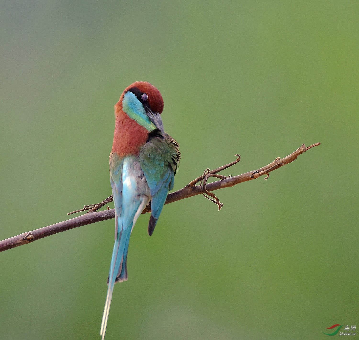 D8I_0797.jpg