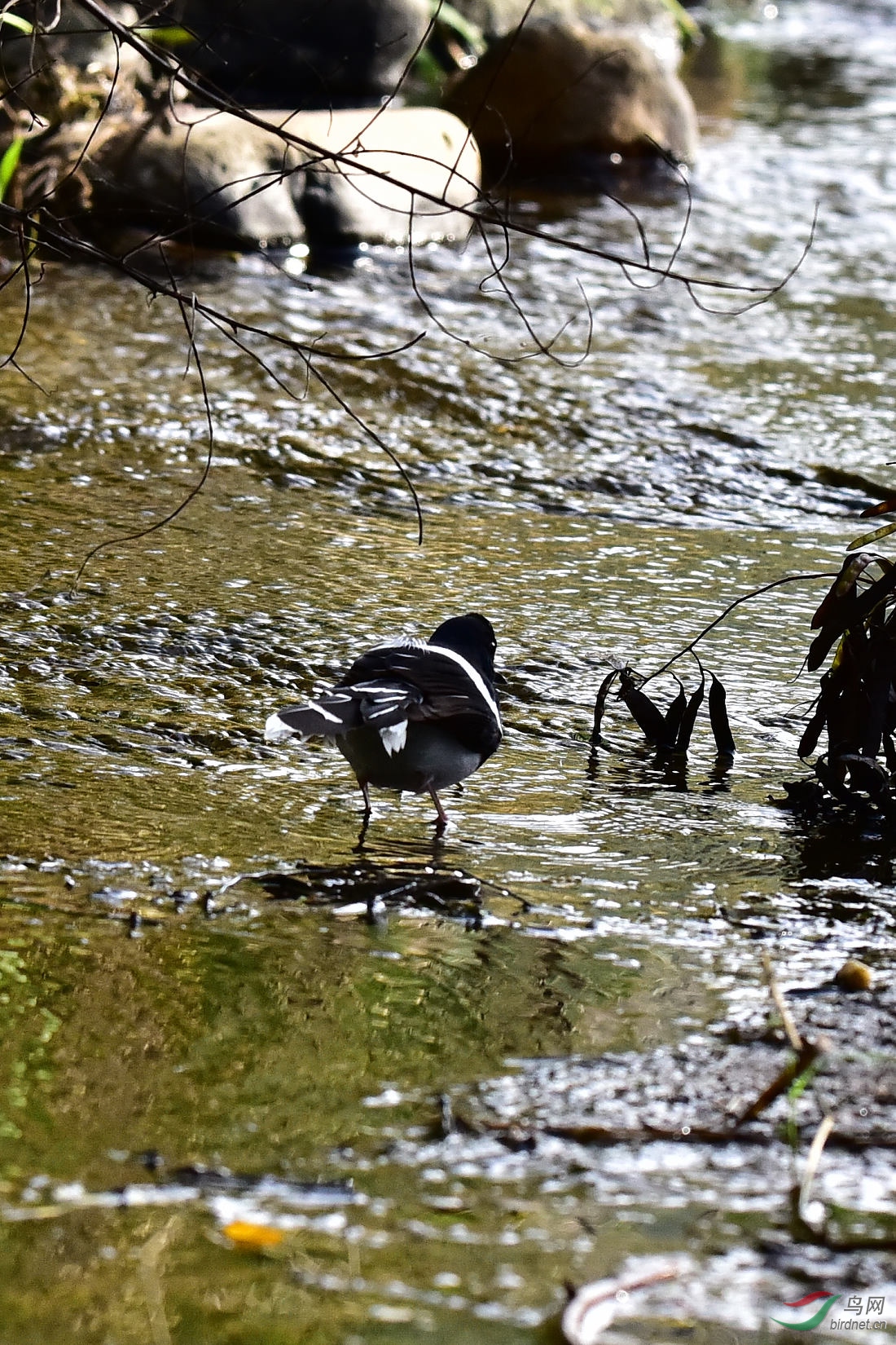 DSC_0148.JPG