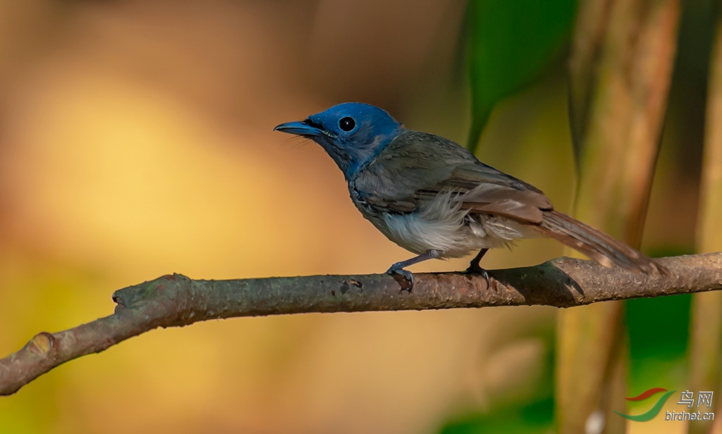 DSC_5001-0.jpg