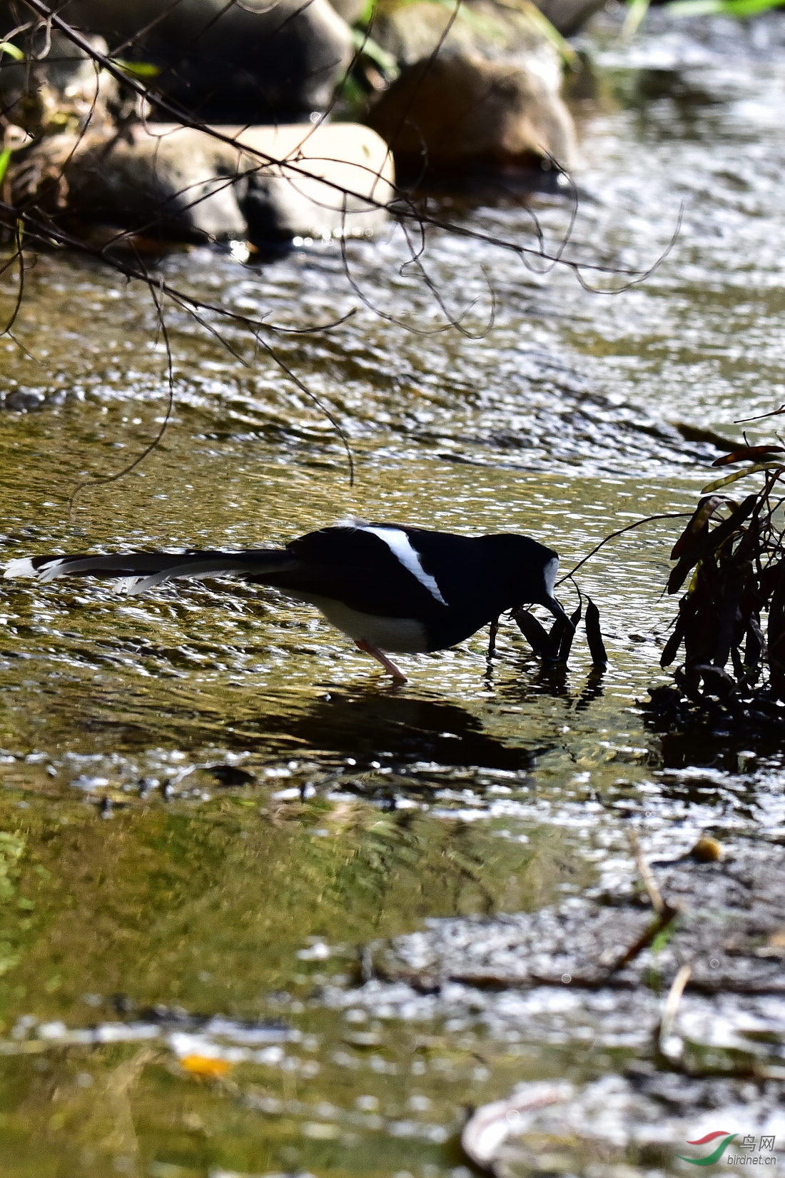 DSC_0152.JPG