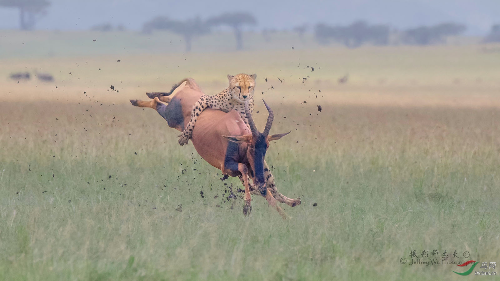 _D8A8594 copy ����.jpg