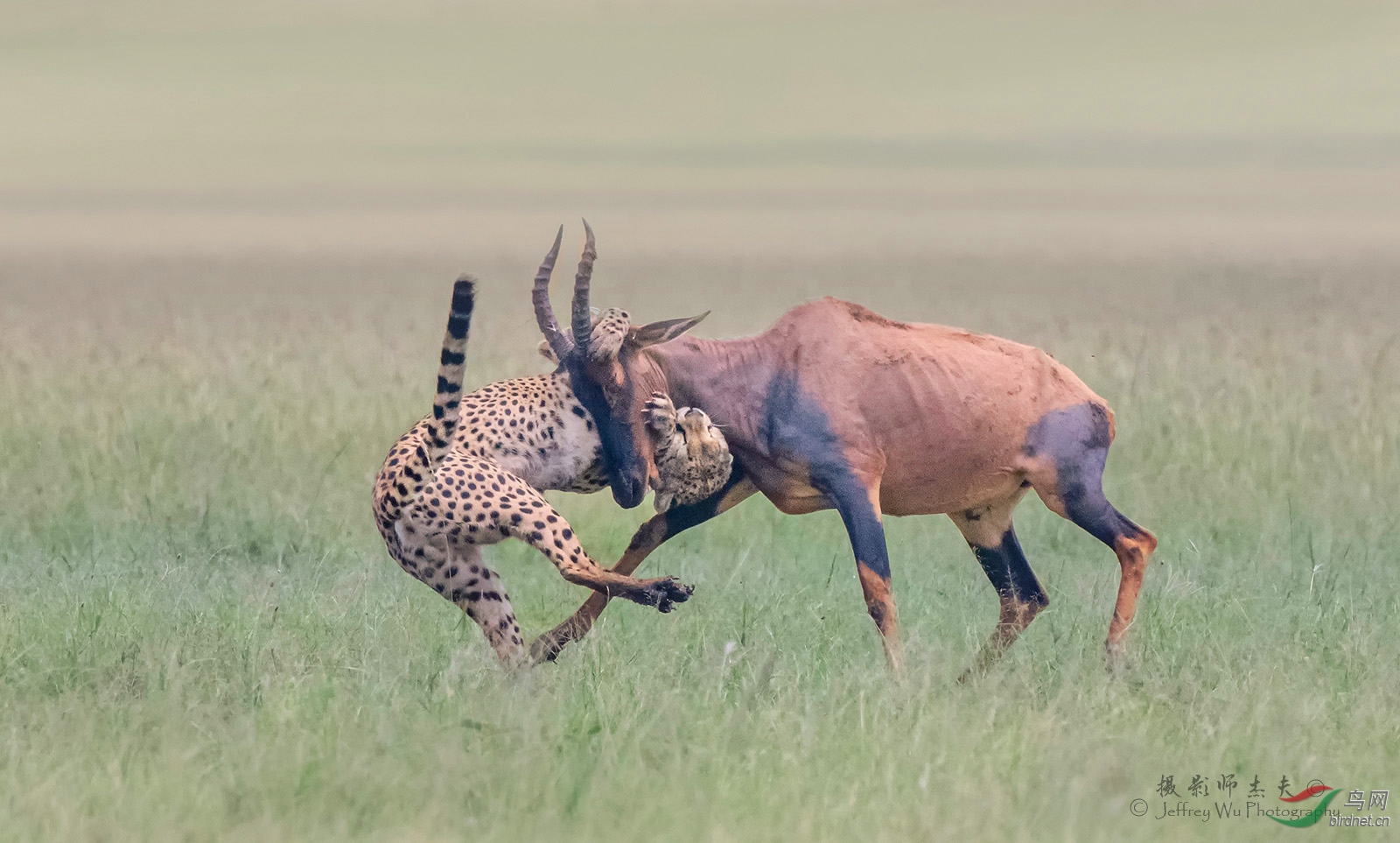 _D8A8618 ����.jpg