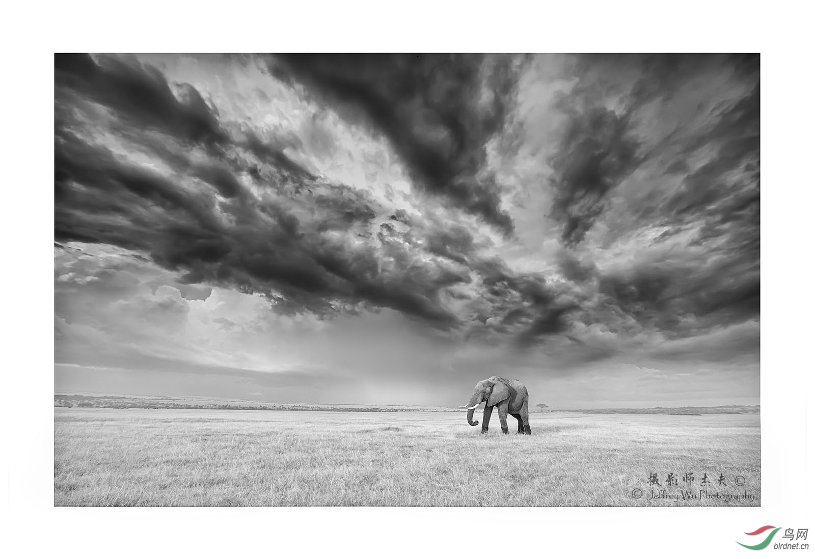 NIKON Z 7091 ����.jpg