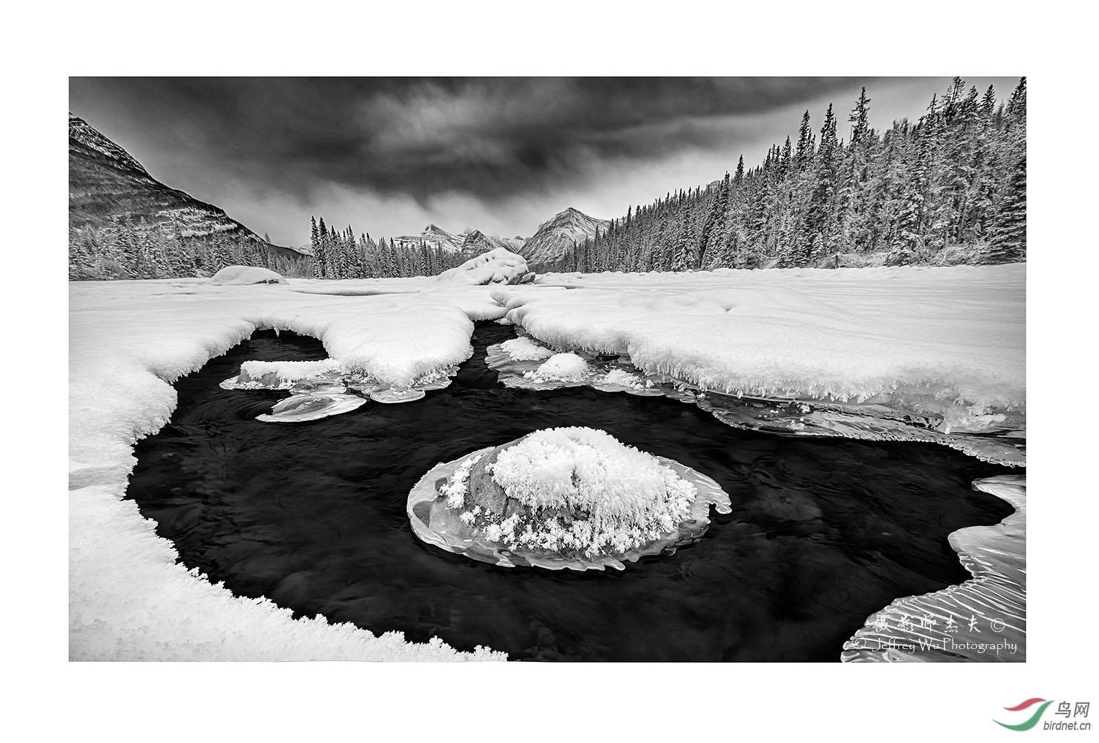 _Z7A0438bw.jpg