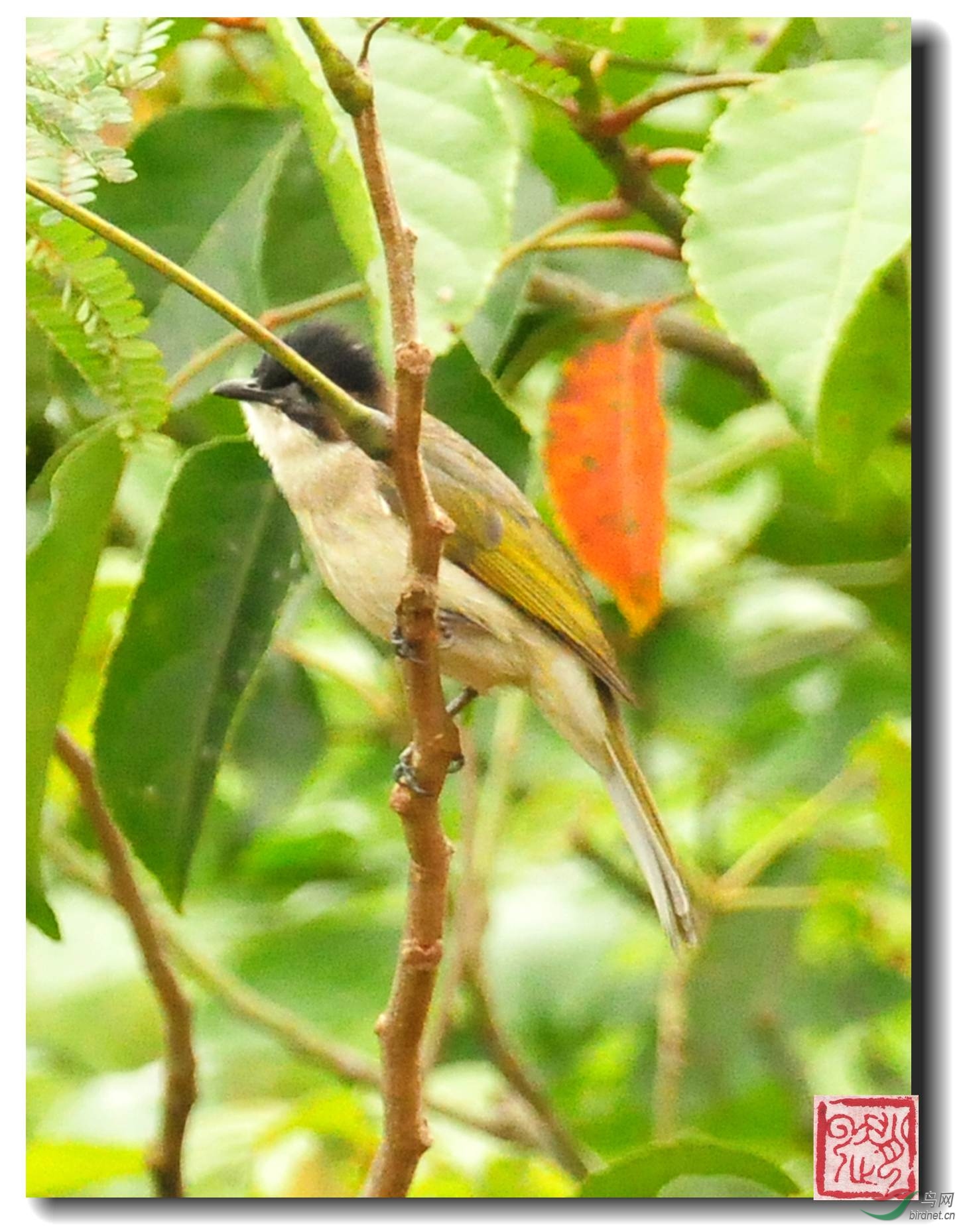 DSC_7881_副本_副本.jpg