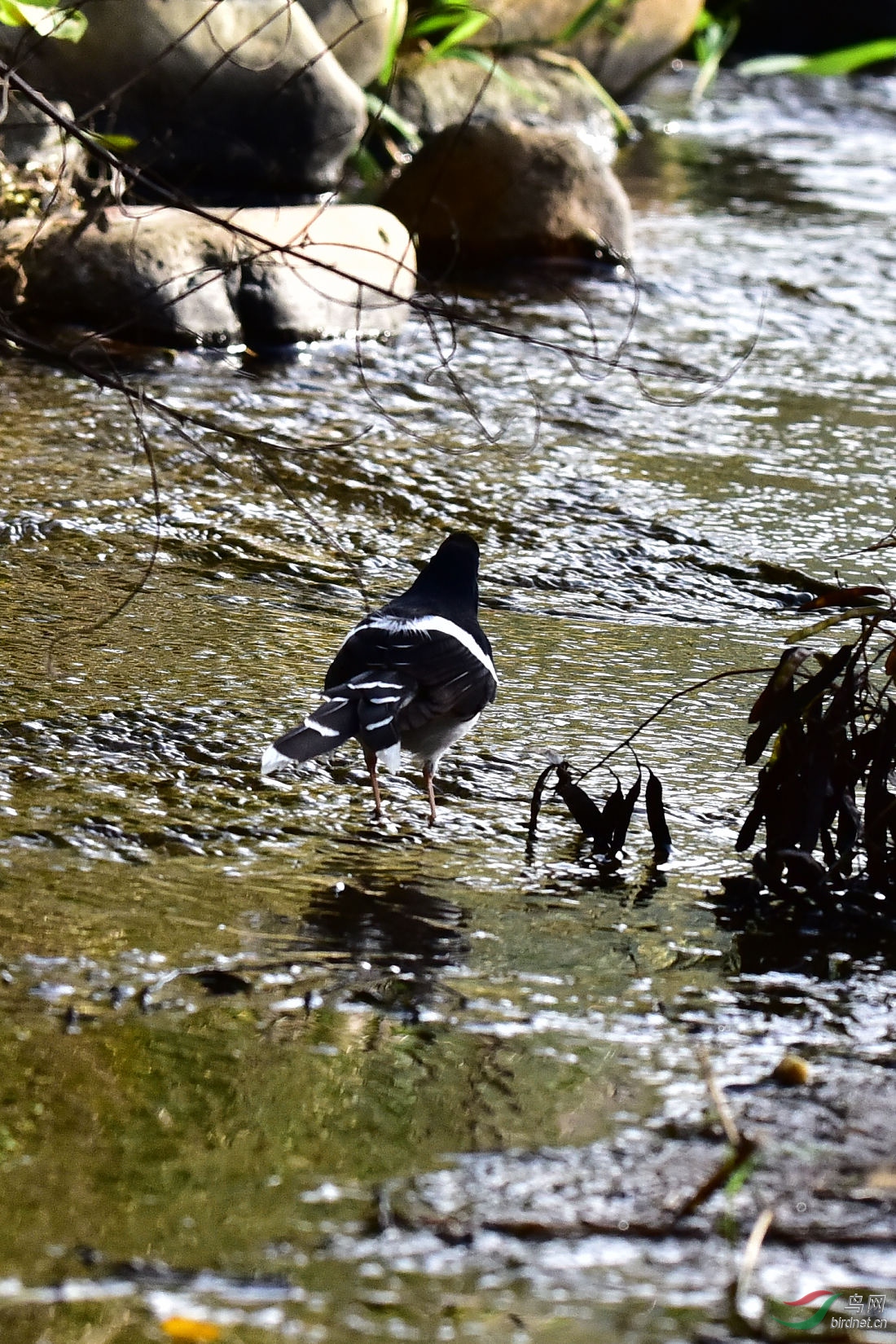 DSC_0155.JPG