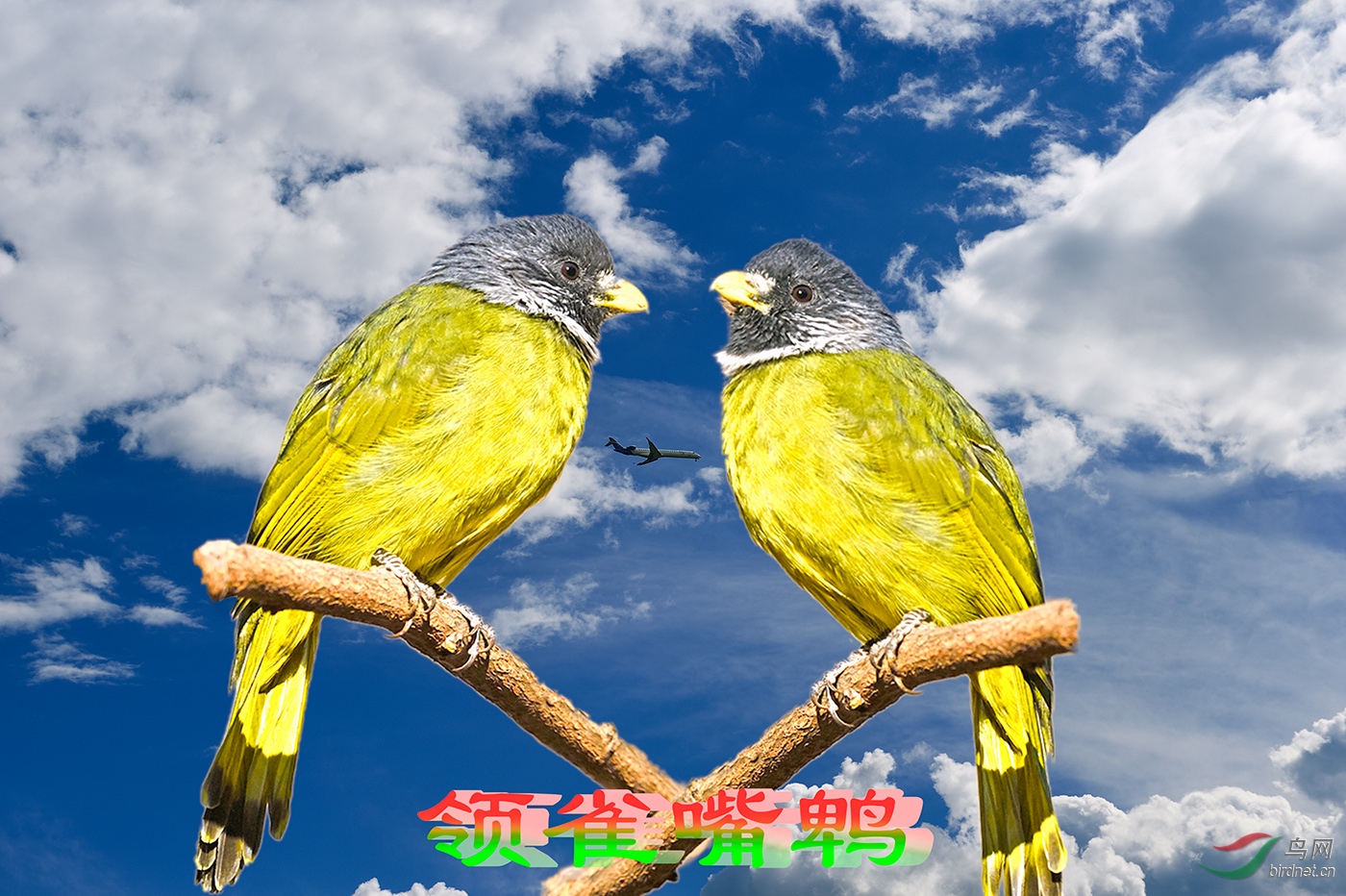 ��ȸ����a01.jpg