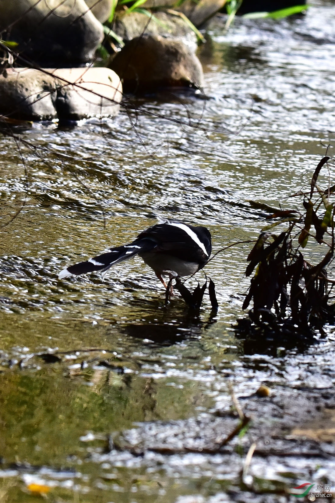 DSC_0157.JPG
