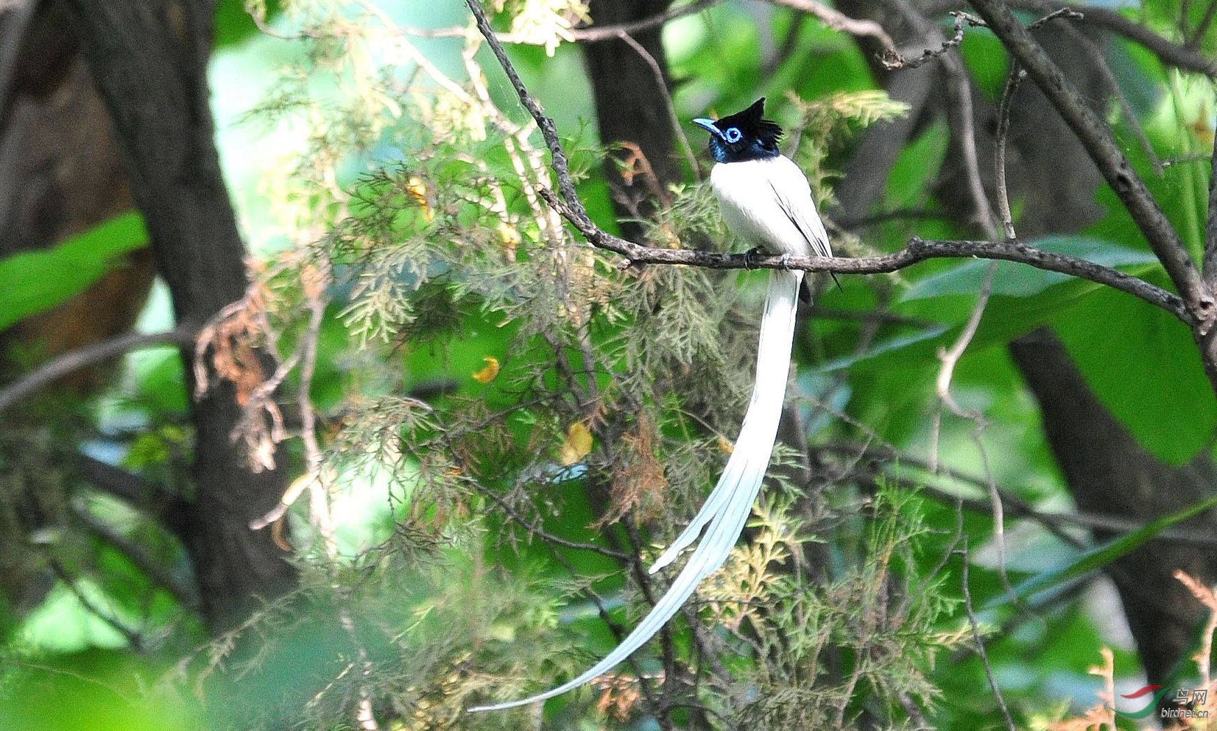 DSC_7296.JPG