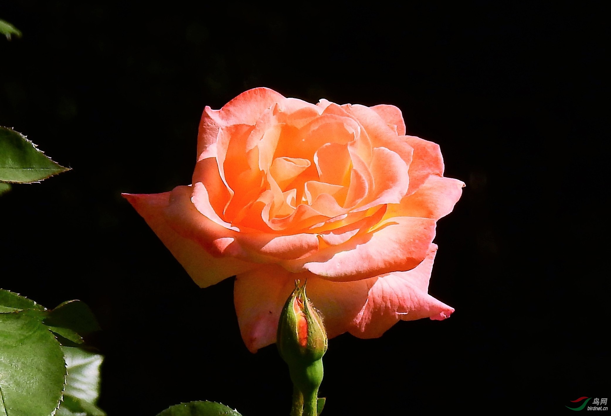 DSCN1644.JPG