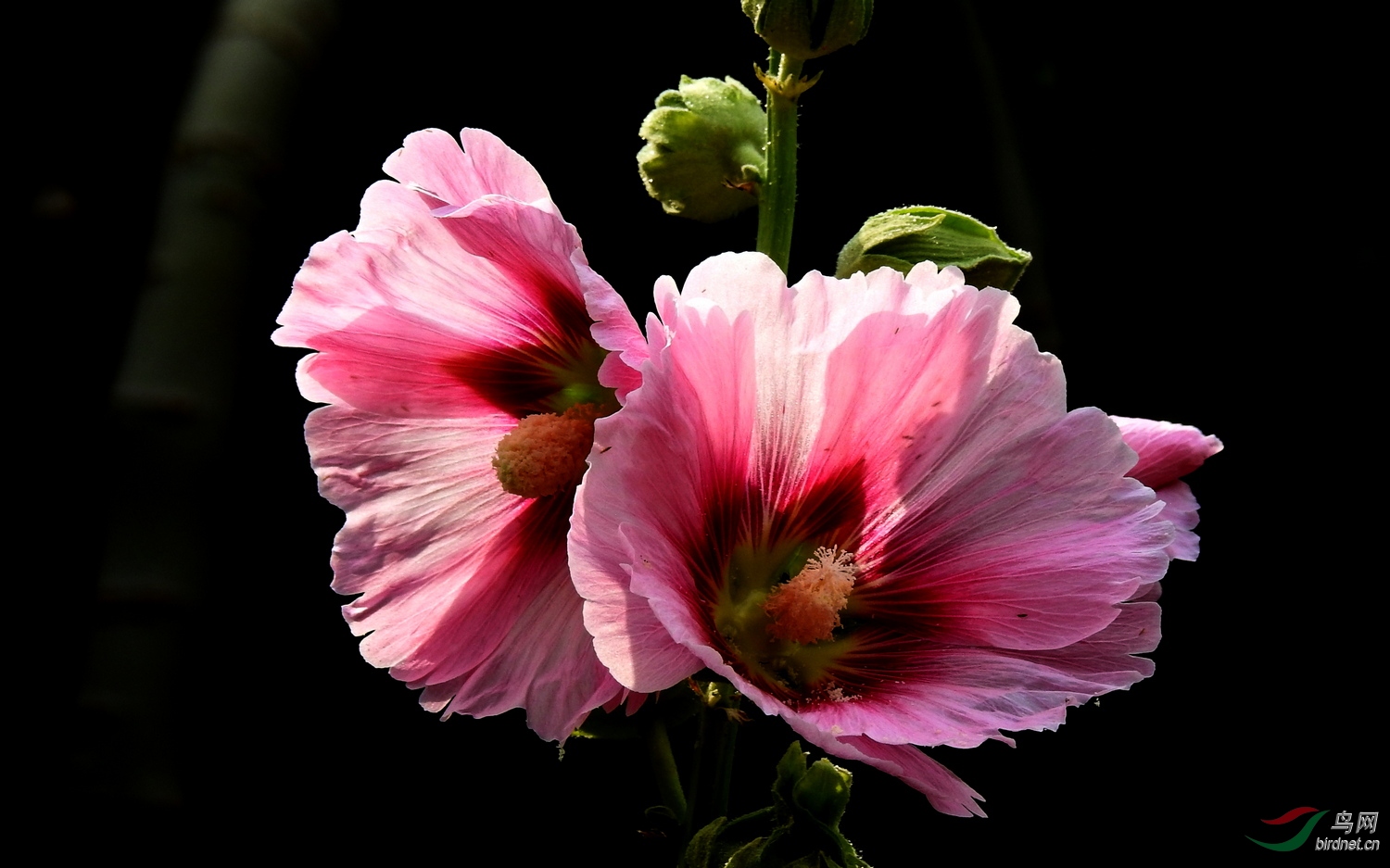DSCN3994.JPG