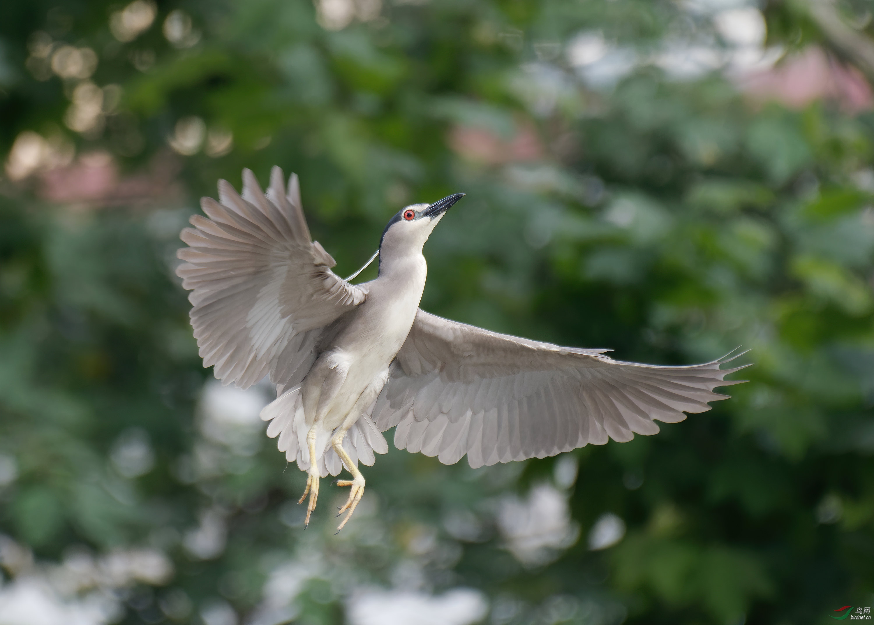 DSC_4934.jpg