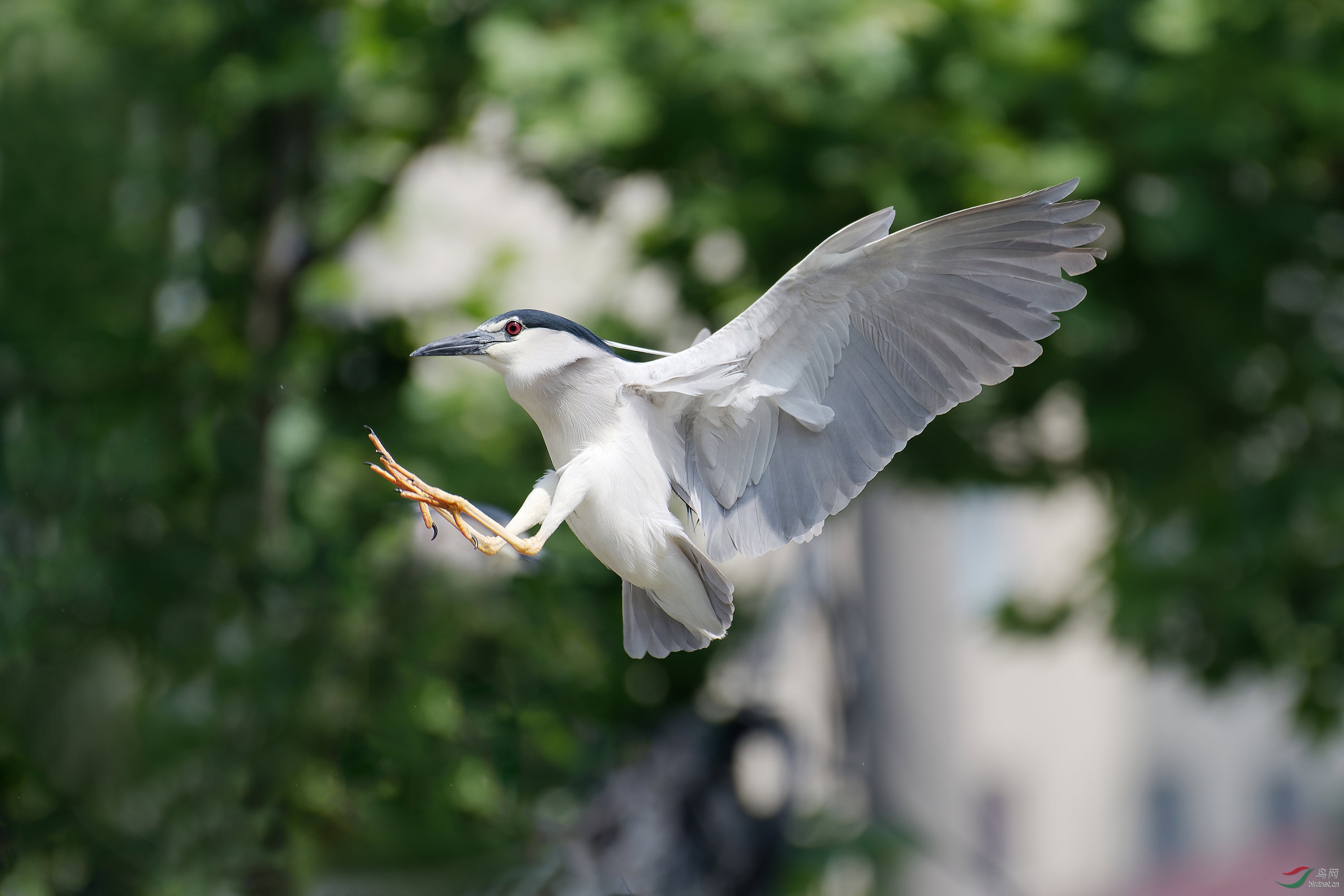 DSC_4513.jpg
