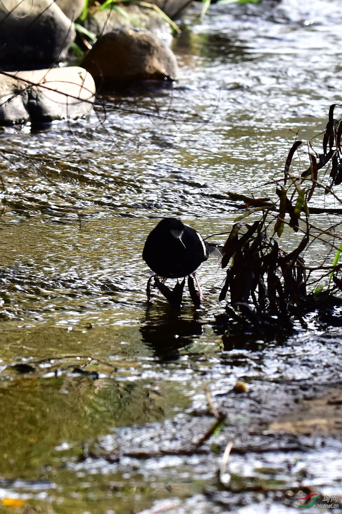 DSC_0161.JPG