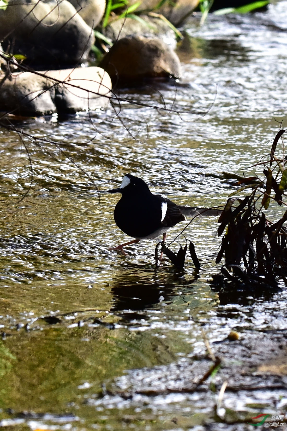 DSC_0162.JPG