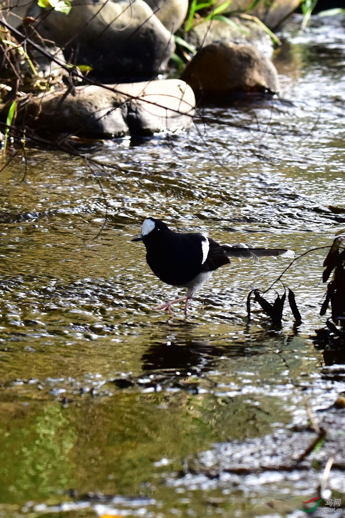 DSC_0163.JPG