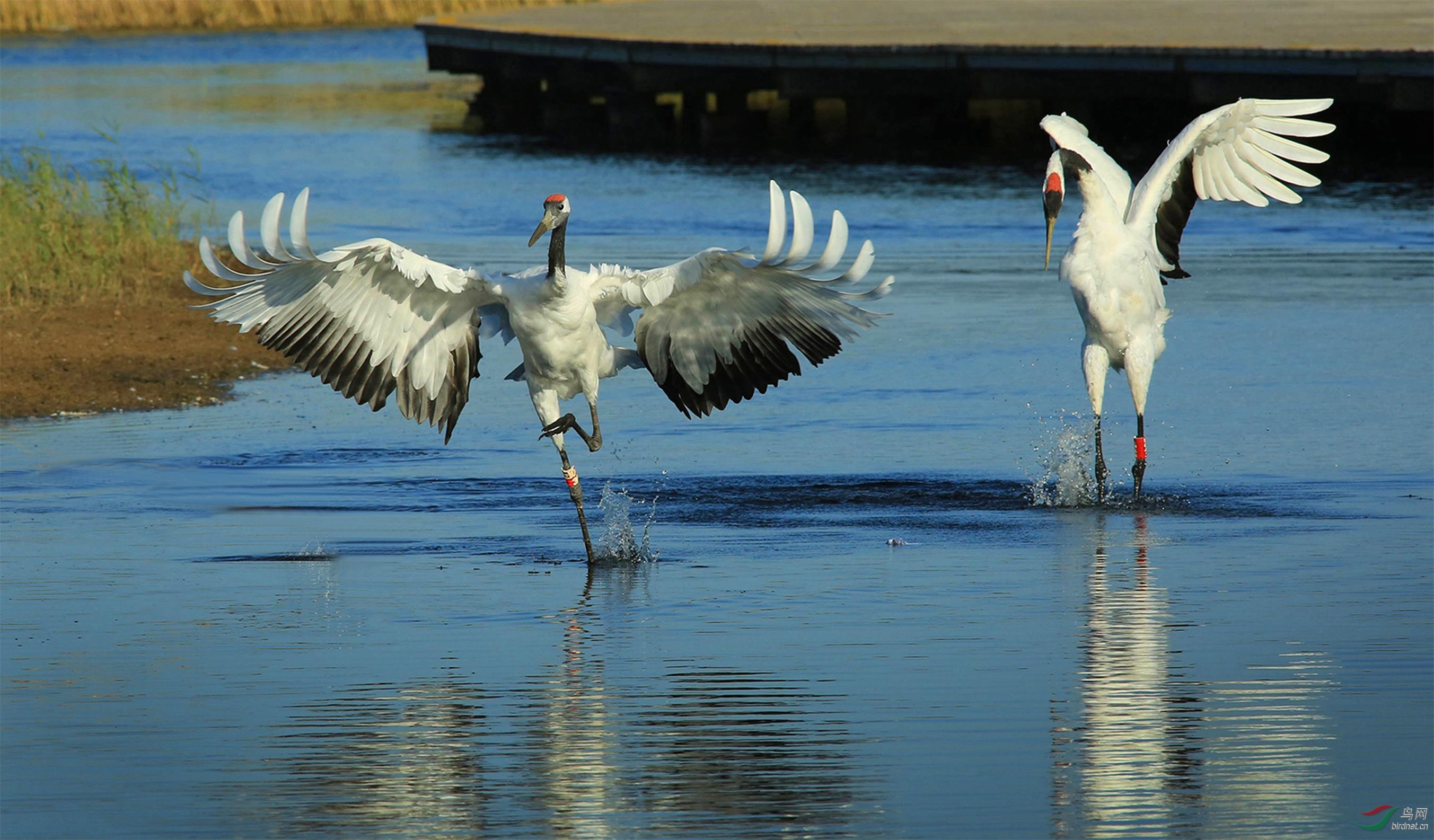 11 ˮ�ϰ���          �޴���     13763512018.jpg