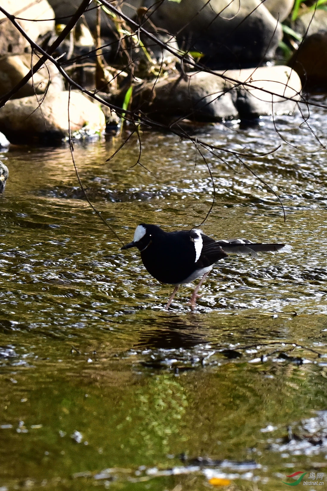DSC_0164.JPG