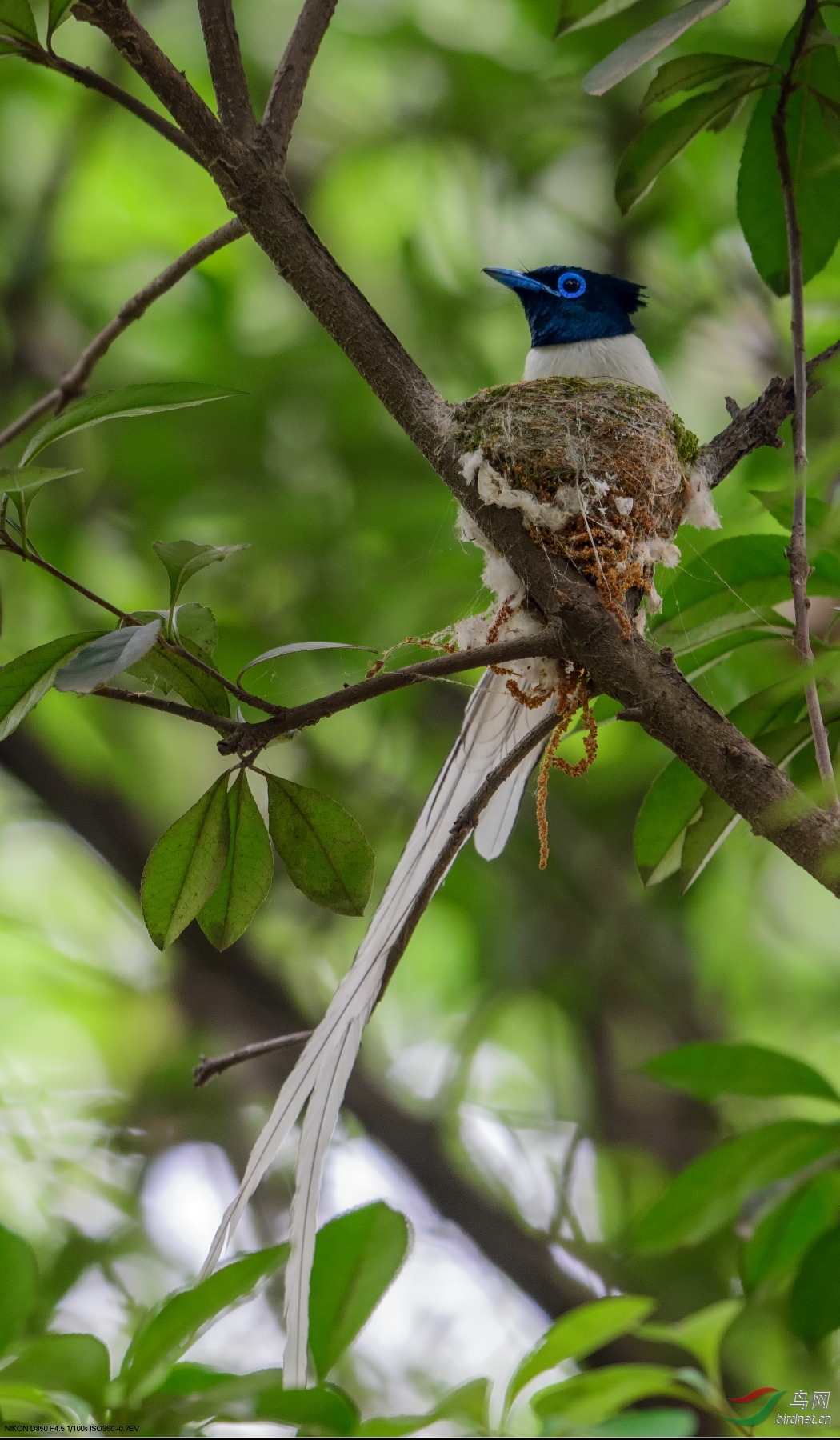 ת������ʦ