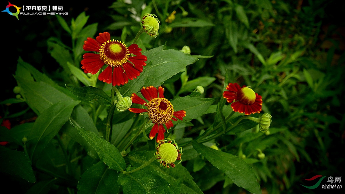 P8023214.jpg