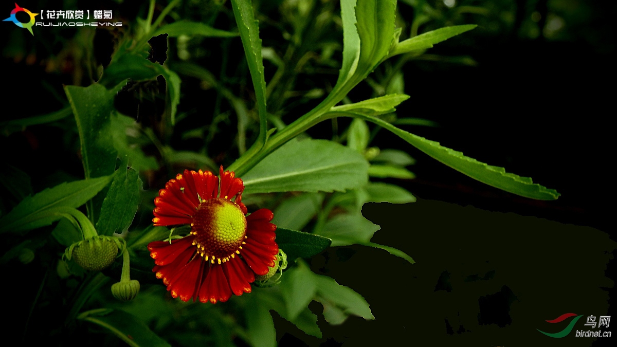 P8023216.jpg
