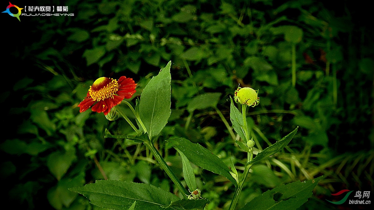 P8023217.jpg
