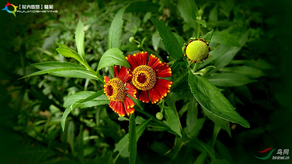 P8023222.jpg