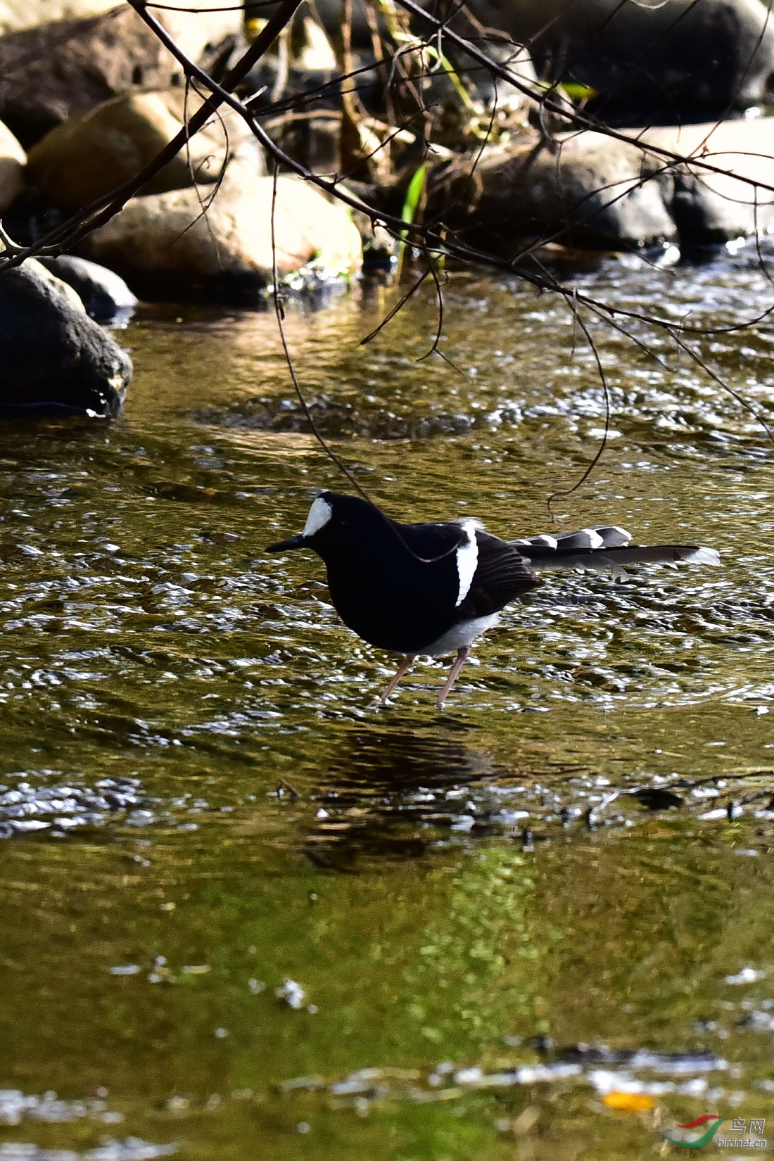 DSC_0165.JPG