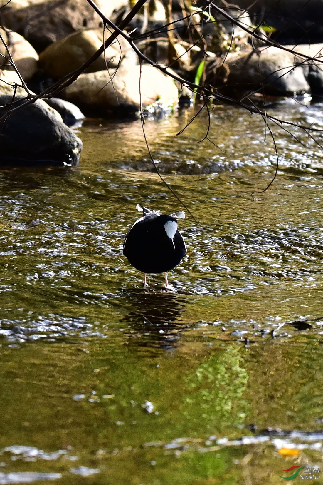 DSC_0166.JPG