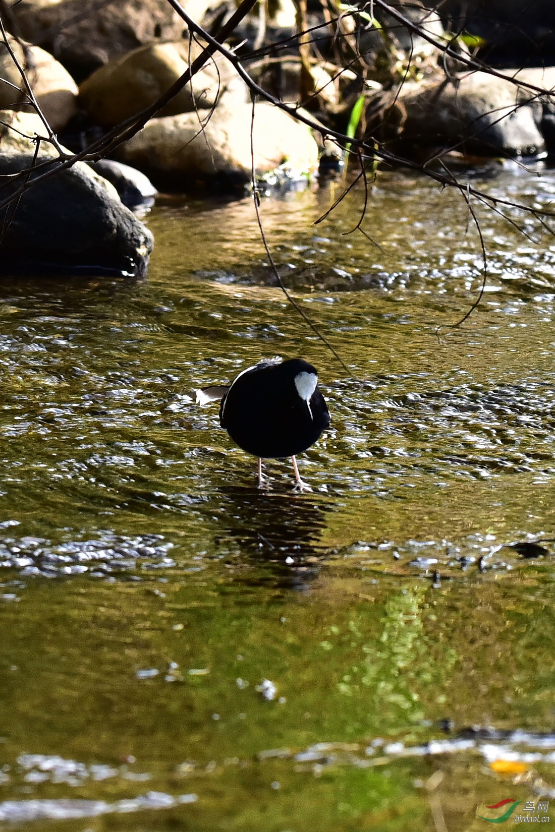 DSC_0167.JPG