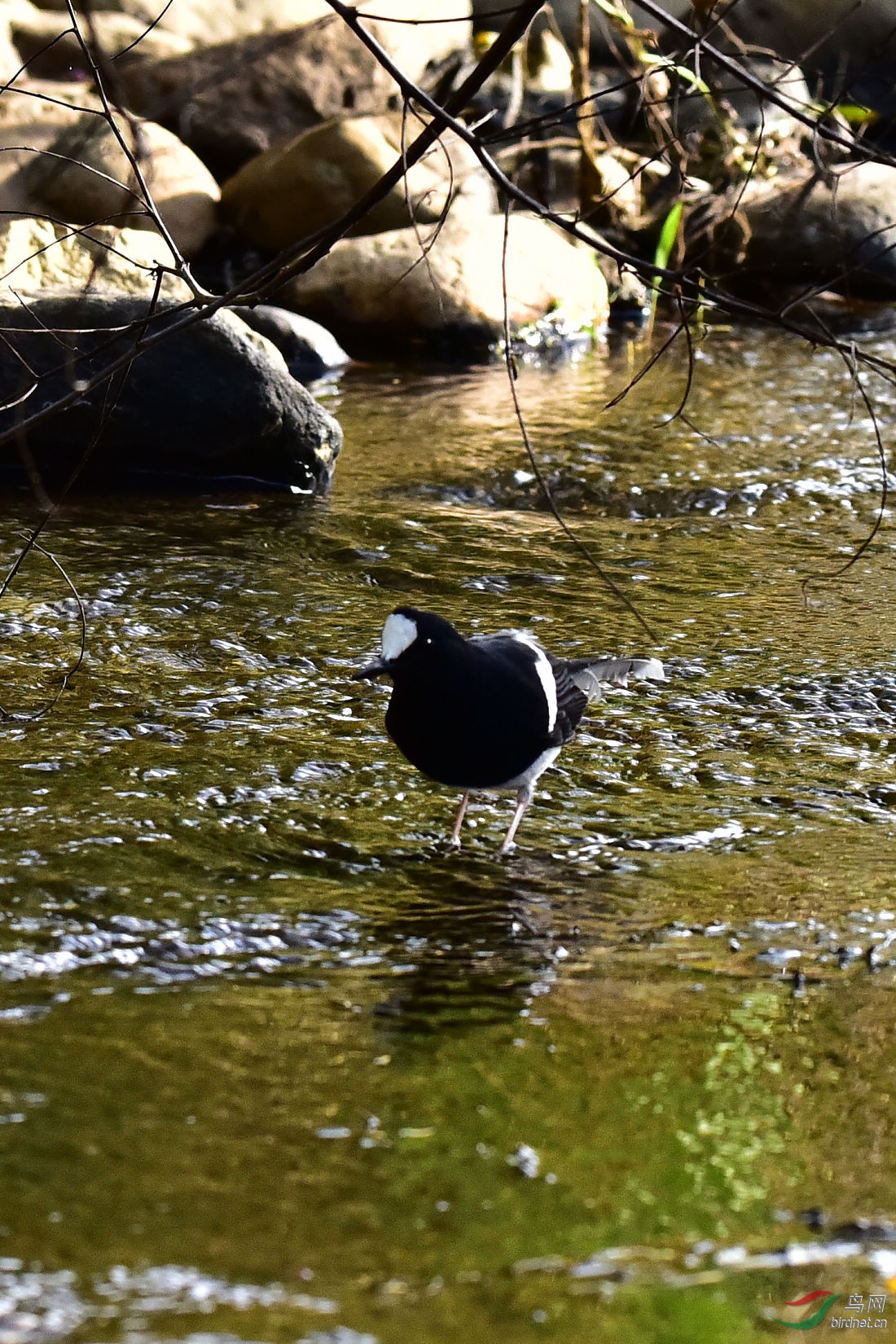 DSC_0168.JPG