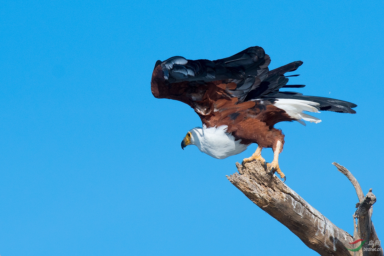 ���޺���