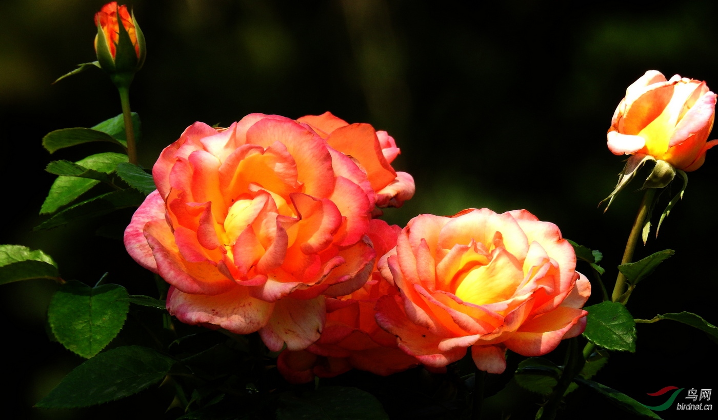DSCN3547.JPG