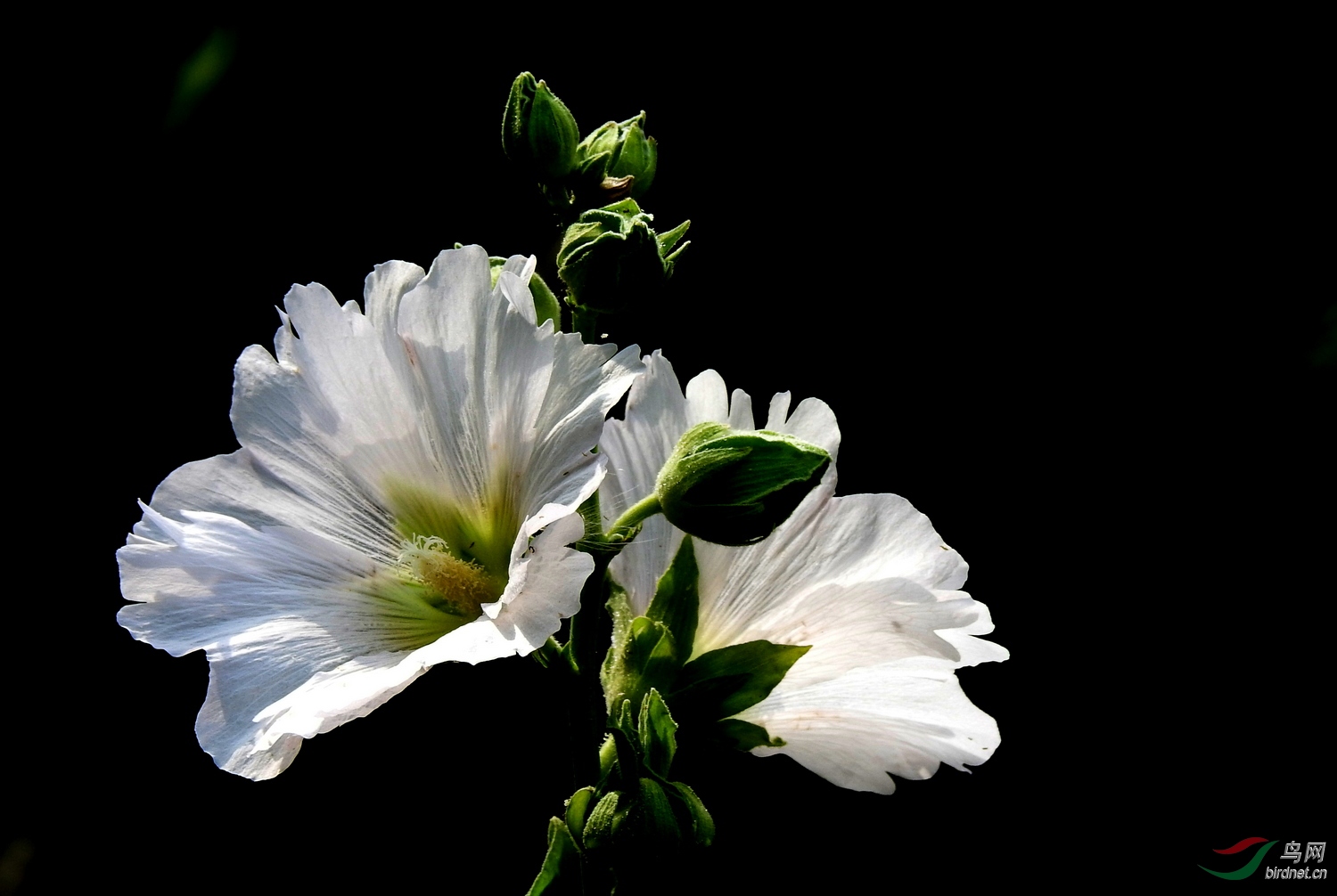 DSCN3998.JPG