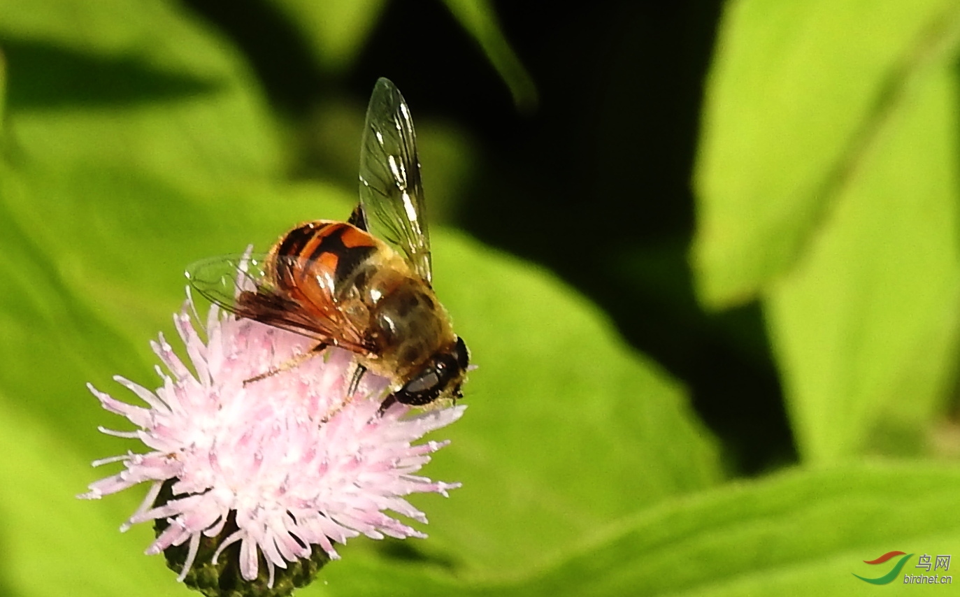 DSCN3920.JPG