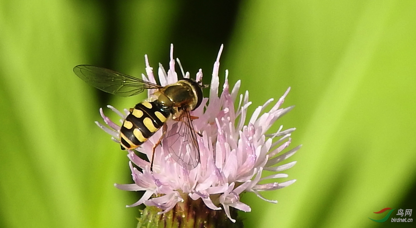 DSCN3627.JPG