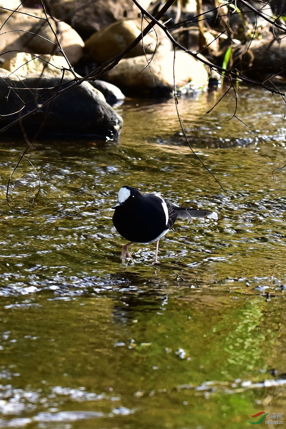 DSC_0170.JPG