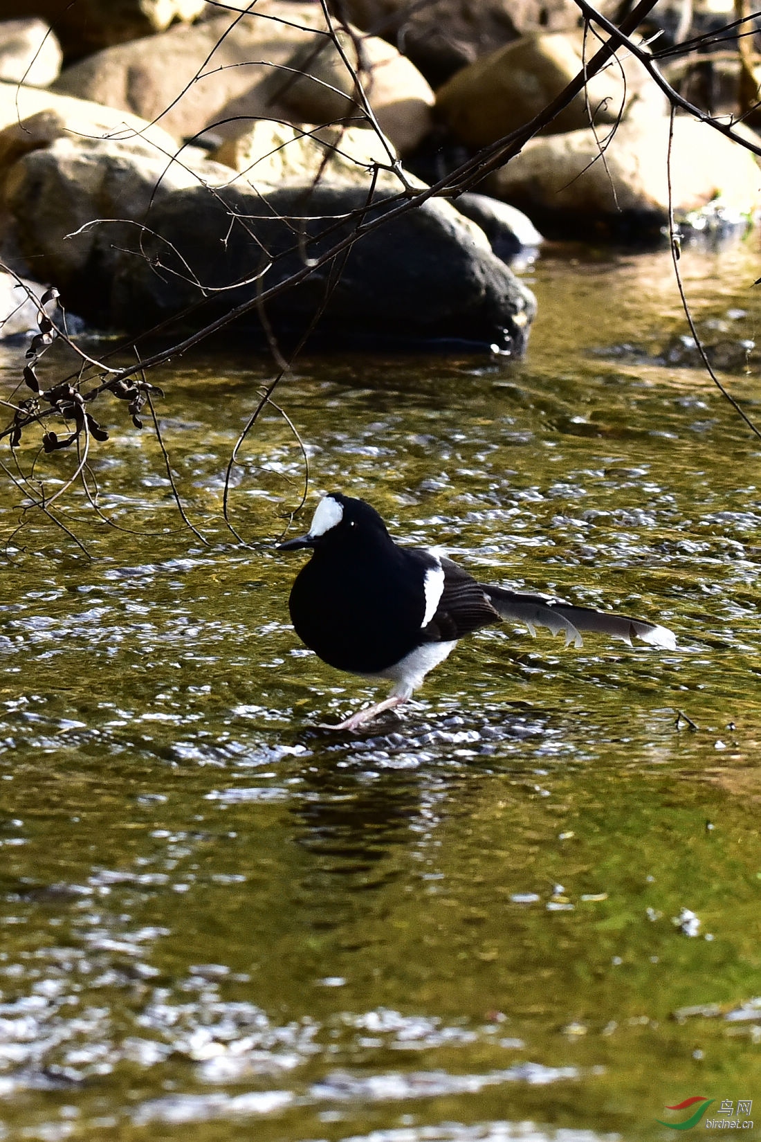 DSC_0171.JPG