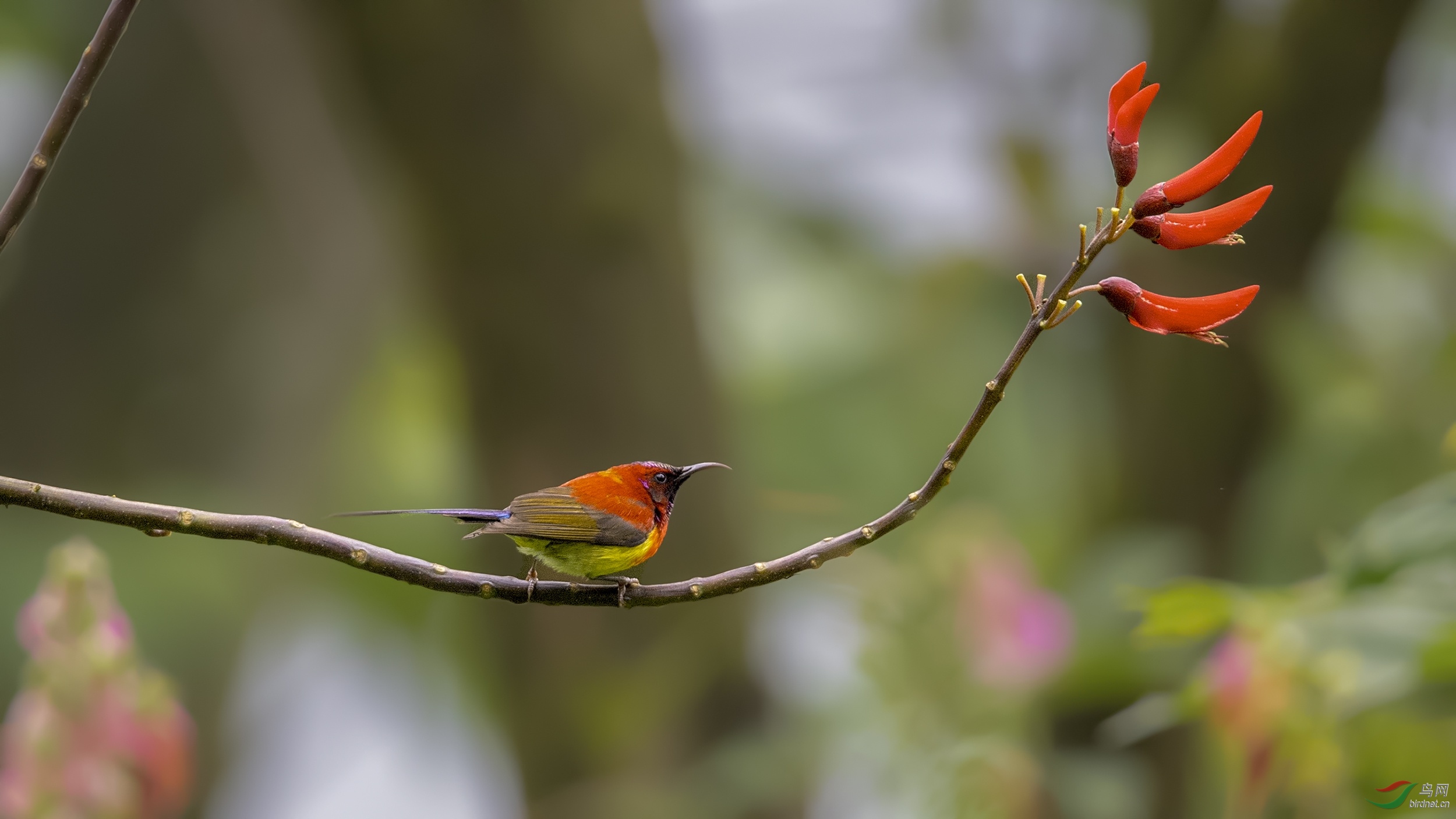 DSC_81351.jpg