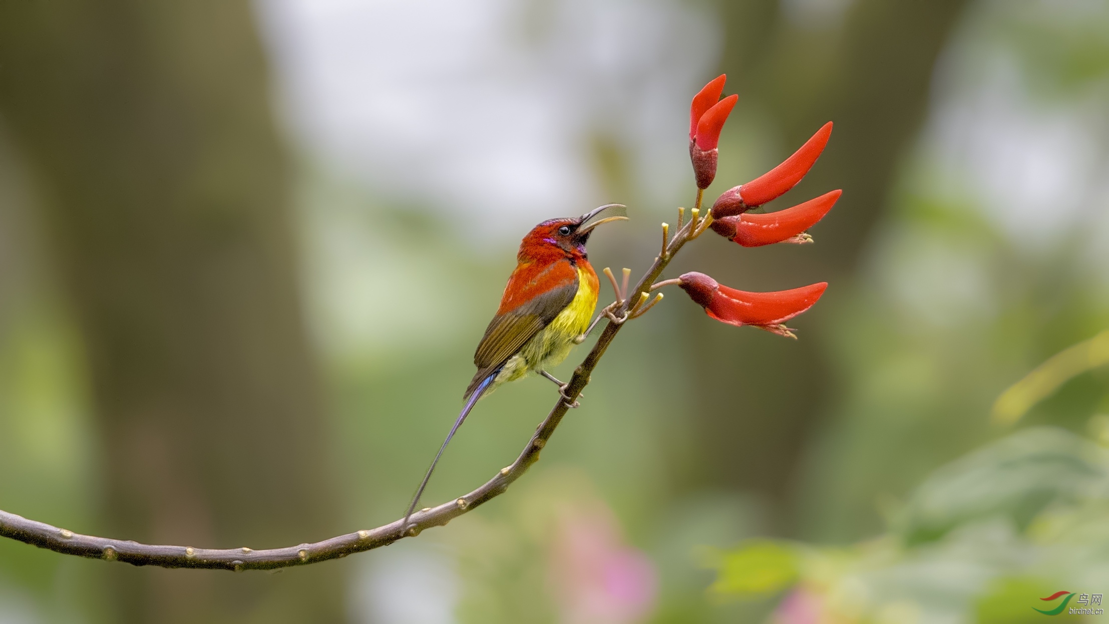 DSC_81601.jpg